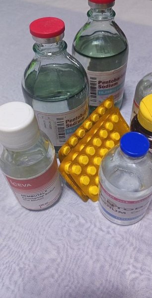 Vysoce čistý kyanid, nembutal, mefedron, xanax, pera Consentyx a další