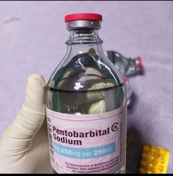 Kupte si vysoce kvalitní léky (kimangelika4@gmail.com) bez lékařského předpisu v Evropě: za sníženou cenu. Tramadol, Oxynorm, k dispozici online bez lékařského předpisu pro ADHD ve Španělsku. Signal: (+971589943206)